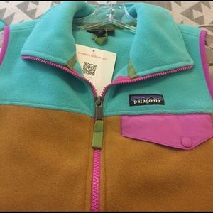 NWT Patagonia Synchilla Snap-T Vest Small