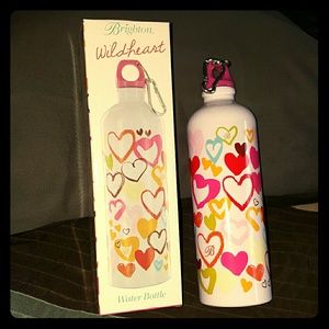 Brighton stainless steel water bottle