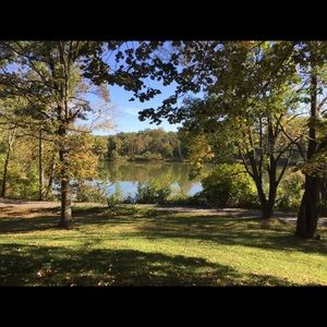 Meet your Posher, Lacey