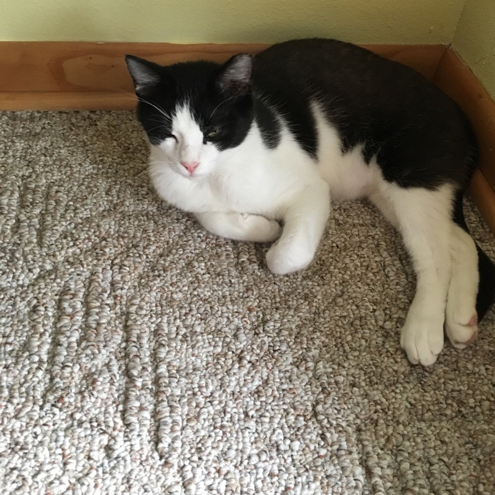 Meet your Posher, Angie