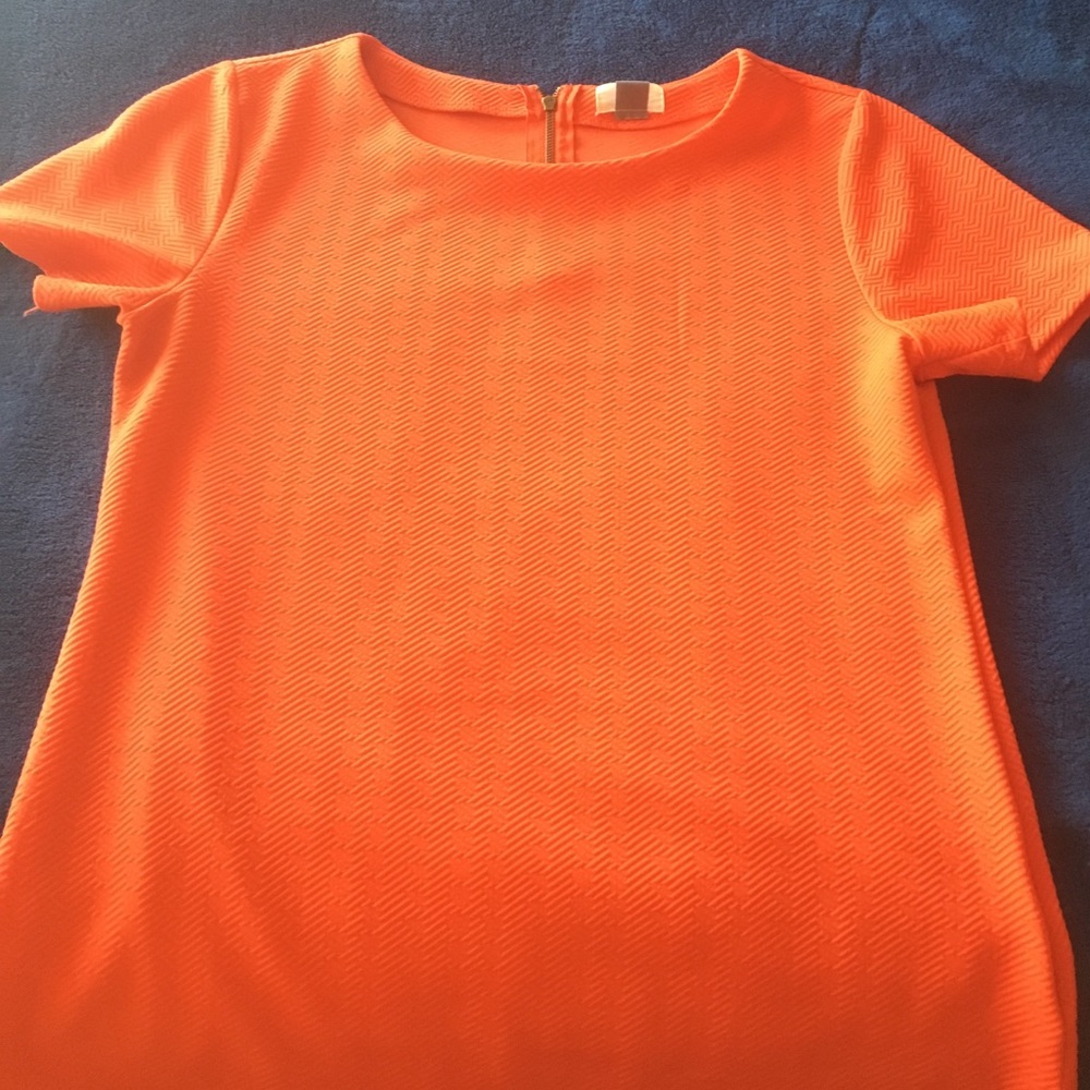 Adorable short sleeved top