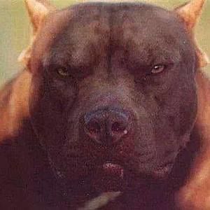 Meet your Posher, Ricky