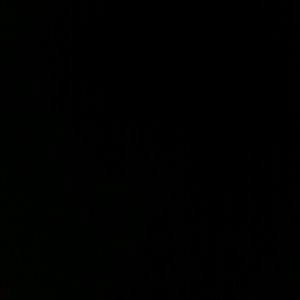 Meet your Posher, Filbert