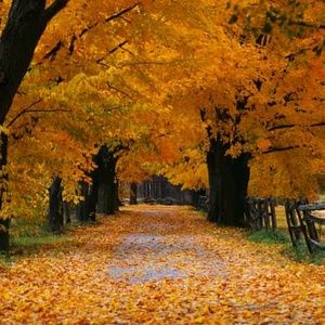 Meet your Posher, Lopez