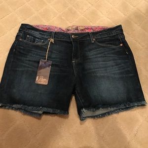 Paige Jimmy Jimmy Boyfriend Short. Size:32 w/tags