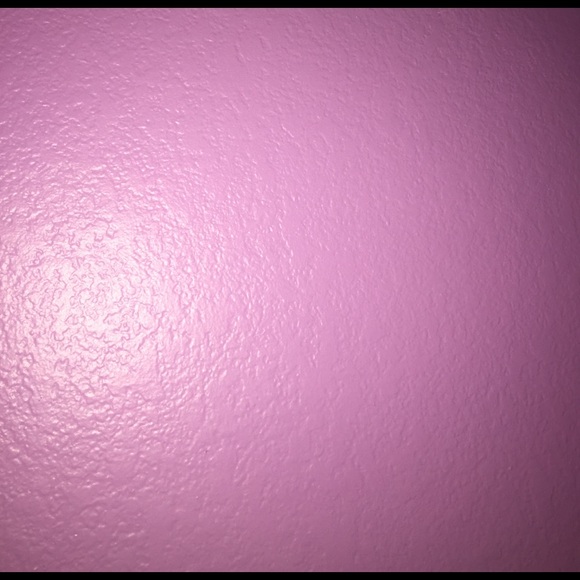 Meet your Posher, Izzy - Picture 1 of 1