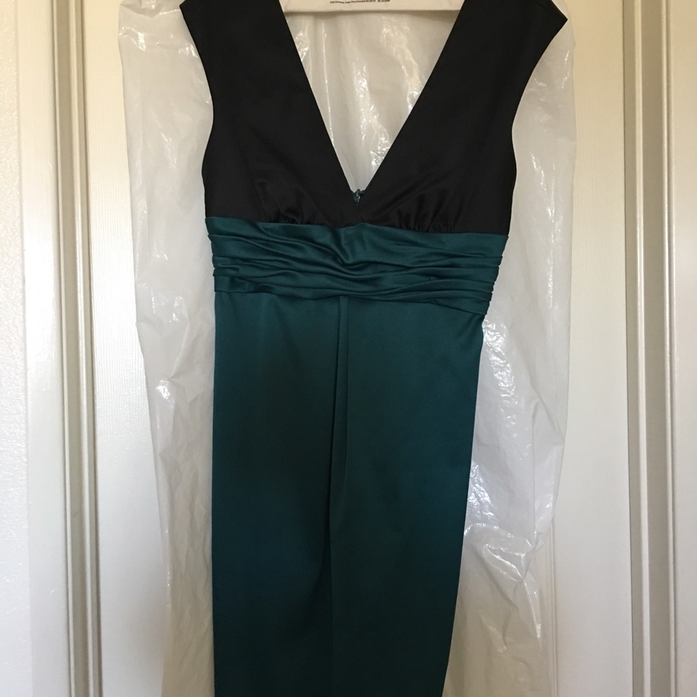Max and Cleo cocktail dress