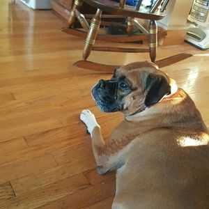 Meet your Posher, Carol