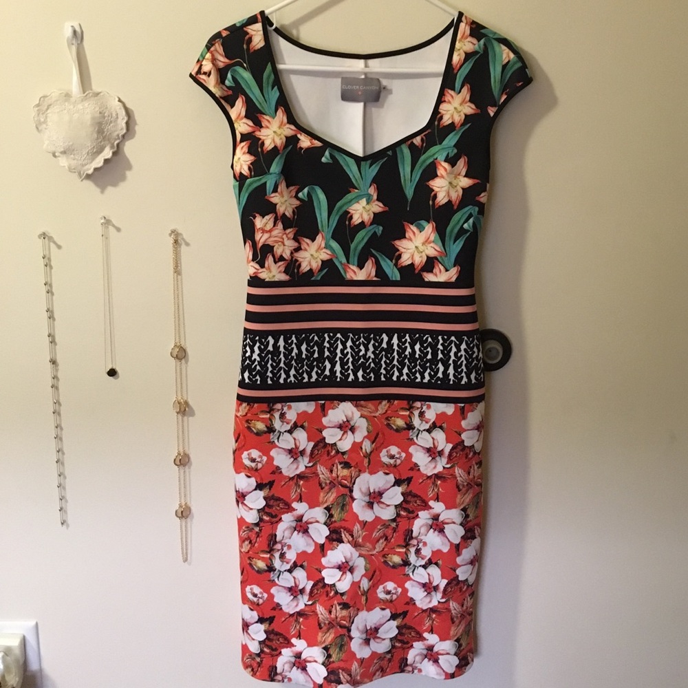 Clover Canyon Bodycon Dress