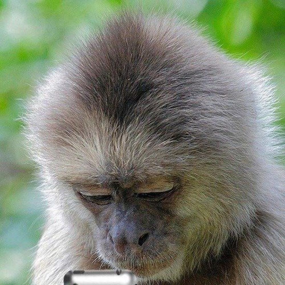 Meet your Posher, Ai