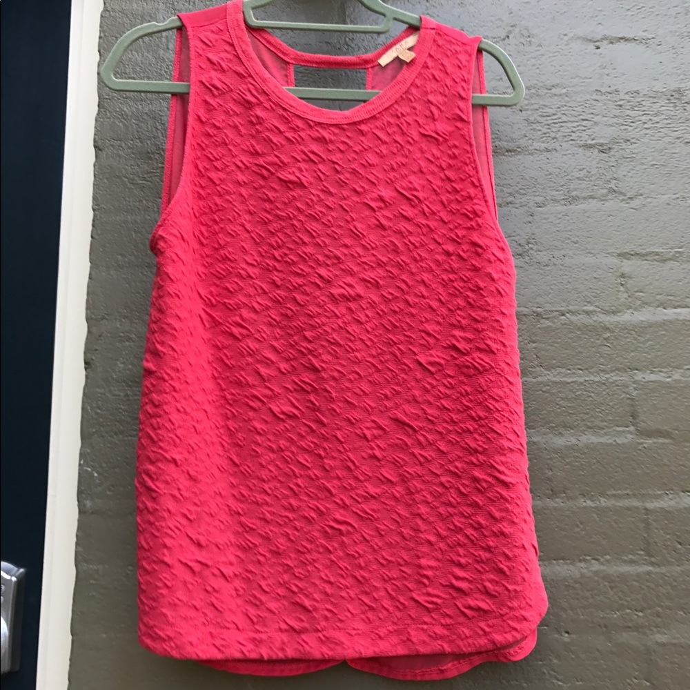 Zara Trafaluc top with sheer back