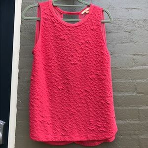 Zara Trafaluc top with sheer back