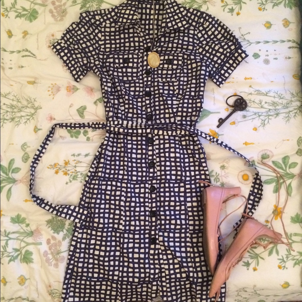 Navy and White The Limited Dress