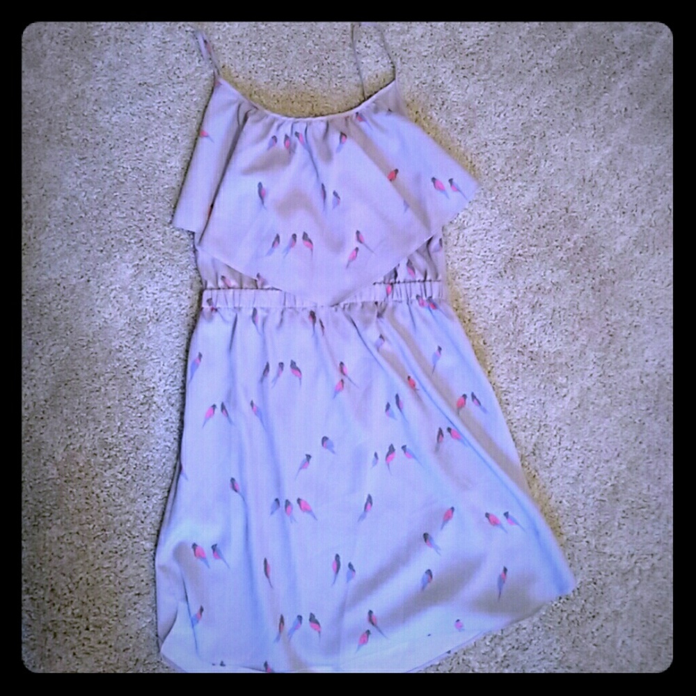 American Eagle Sundress
