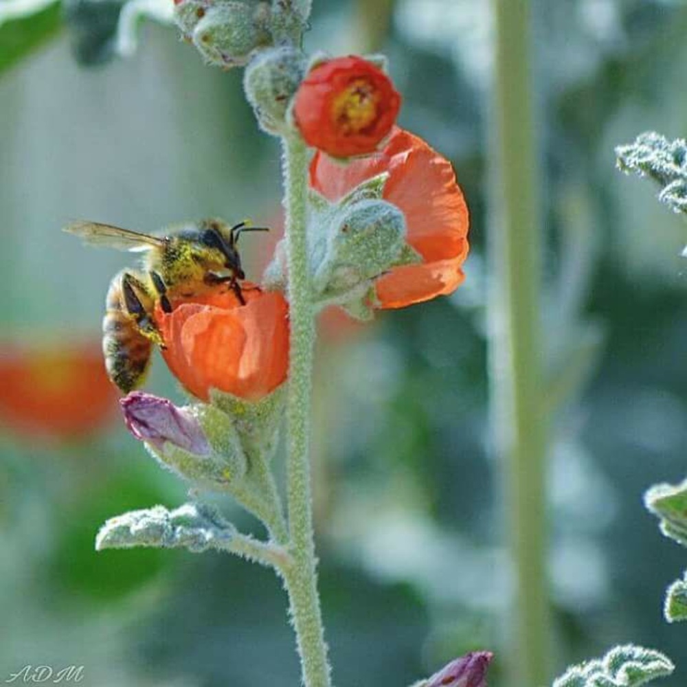 Don’t like the price? Make a reasonable offer :)