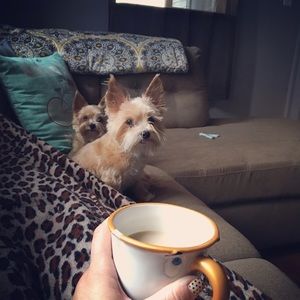 Meet your Posher, Alisa