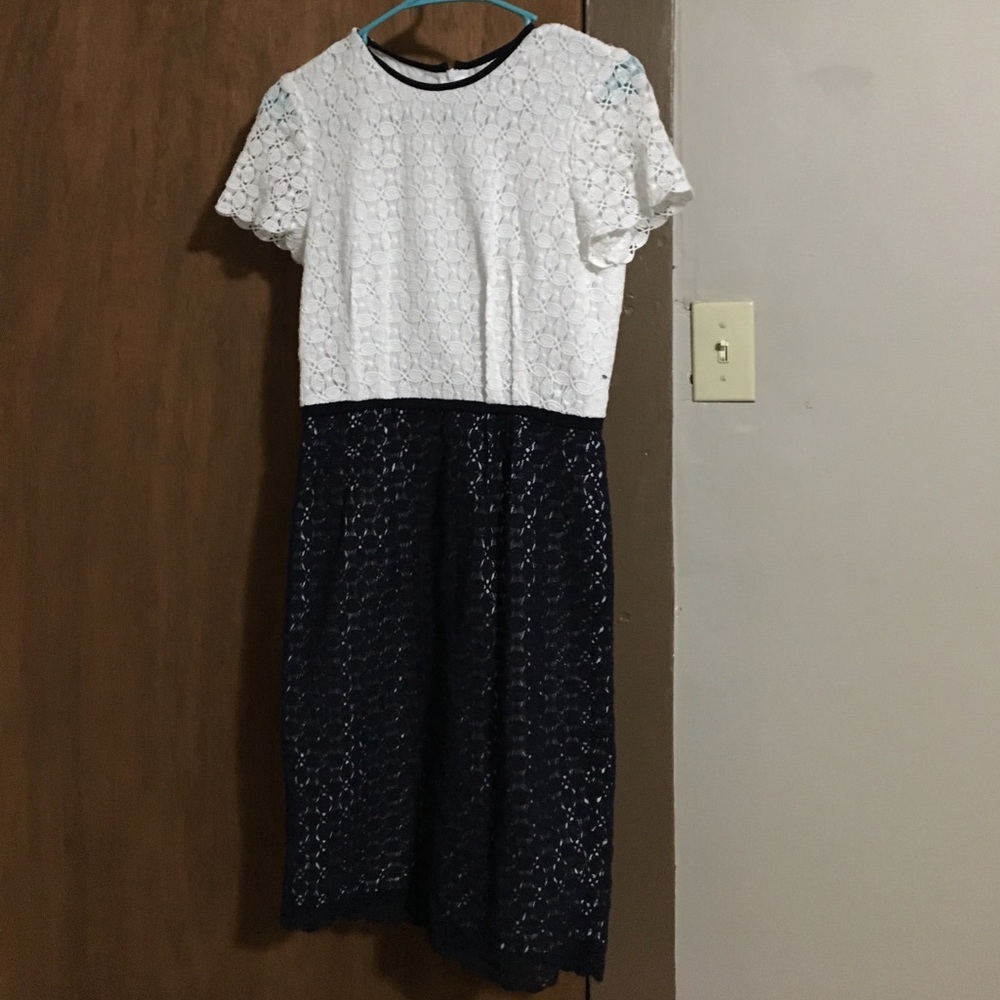 Calvin Klein Navy Blue and White Size 2 dress