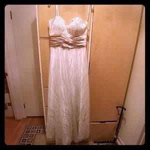 David's Bridal dress!