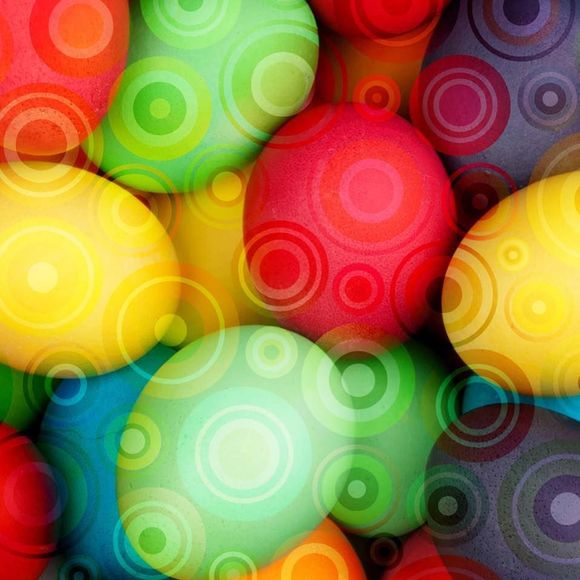 Meet your Posher, Lisa - Picture 1 of 1