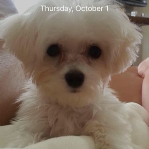 Meet your Posher, Stacey