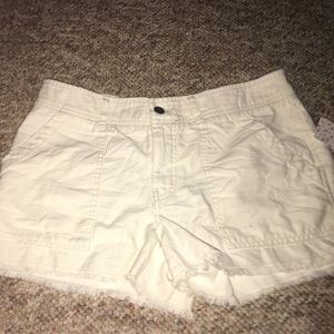 Free People shorts size 6 - New with tags!