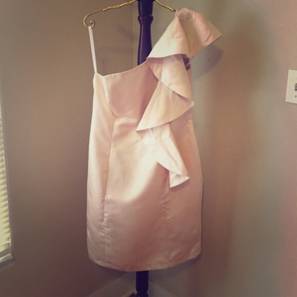 Stunning one shoulder nude bridesmaid dress. - Picture 2 of 3