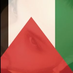 Meet your Posher, Mohammad