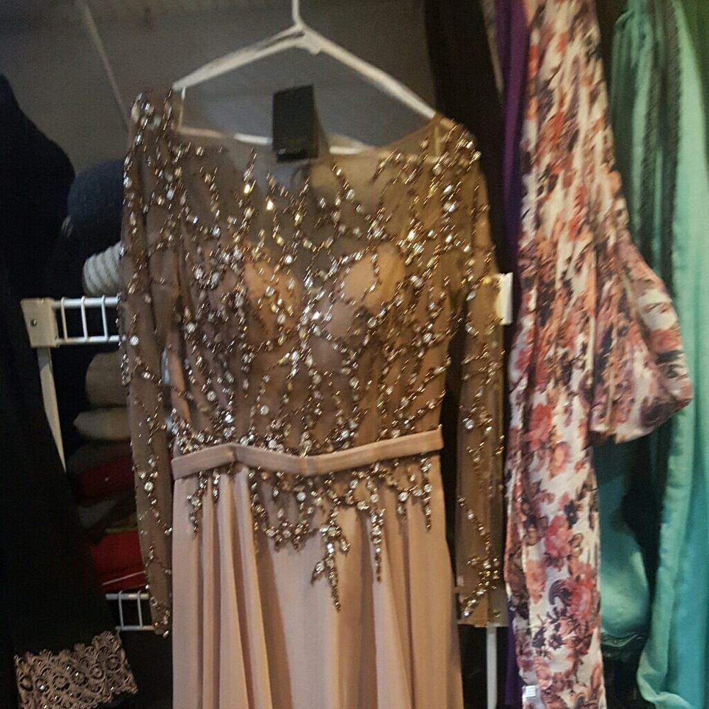 terani gown