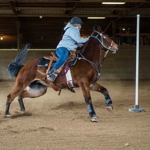 Meet your Posher, Kiara