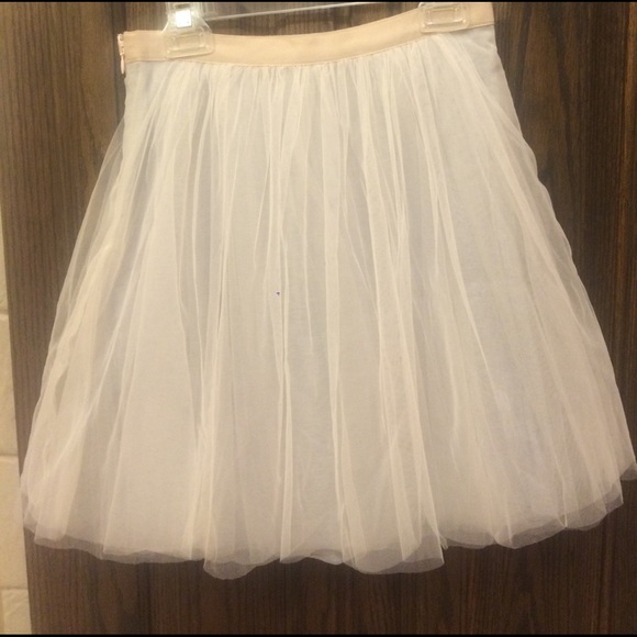 LOFT Tulle Skirt - Picture 3 of 6