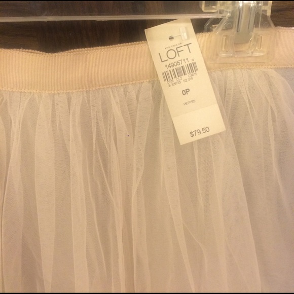 LOFT Tulle Skirt - Picture 6 of 6