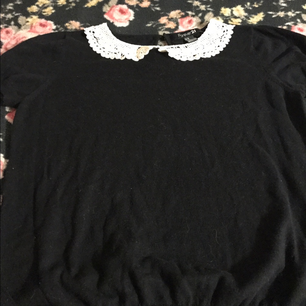 Lacey Peter Pan Collar Short Sleeve Sweater