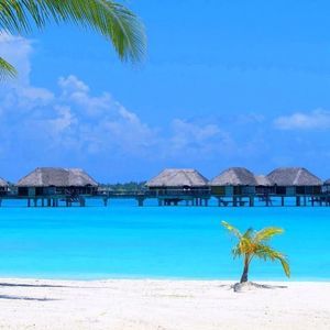 Meet your Posher, Axel