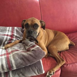 Meet your Posher, Misty