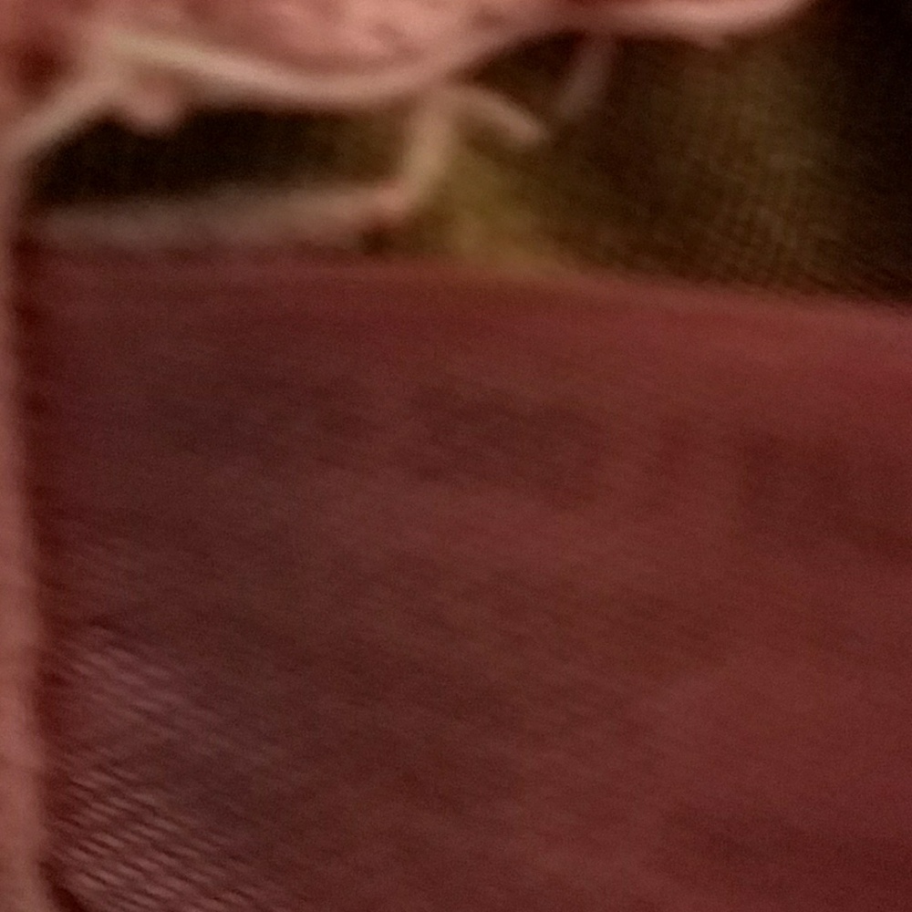 Bra - Picture 2 of 2
