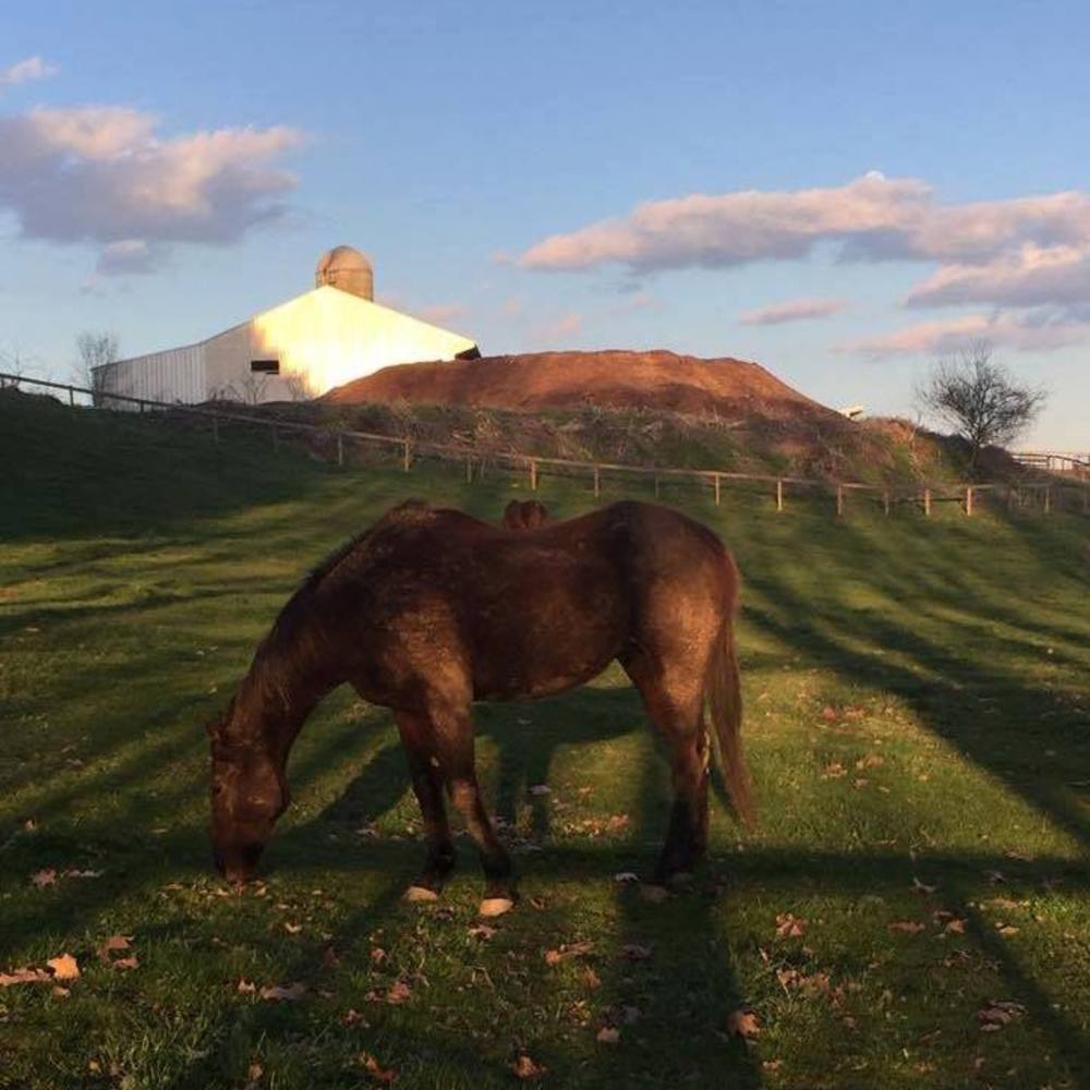 Meet your Posher, Sue