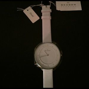 Brand new Skagen denmark watch