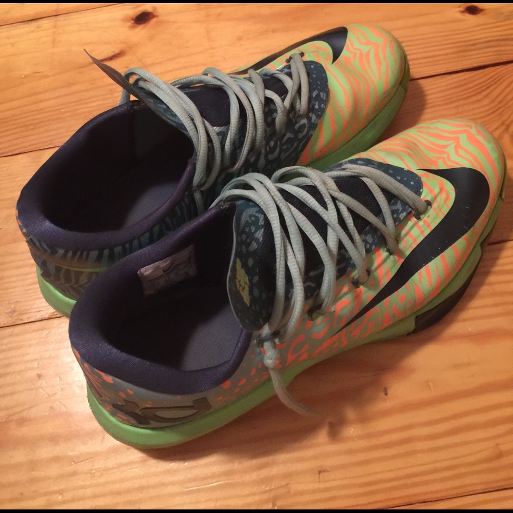 Kd 6 Ligers!!