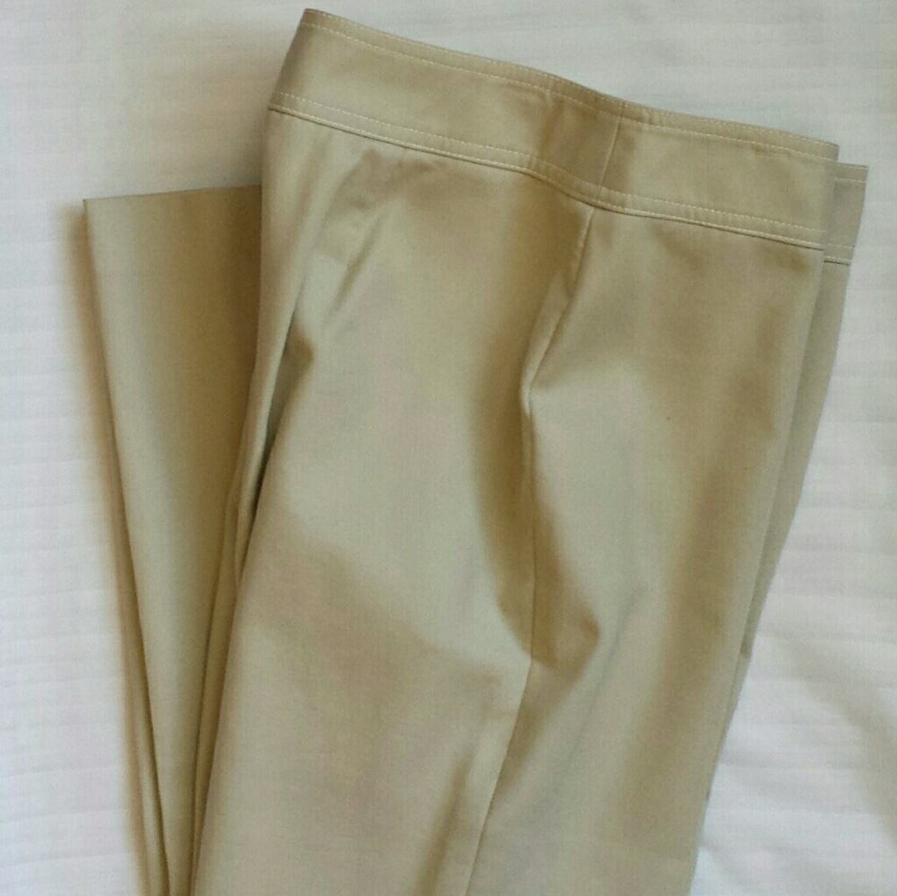 Woman's Dress Pant by Ann Taylor