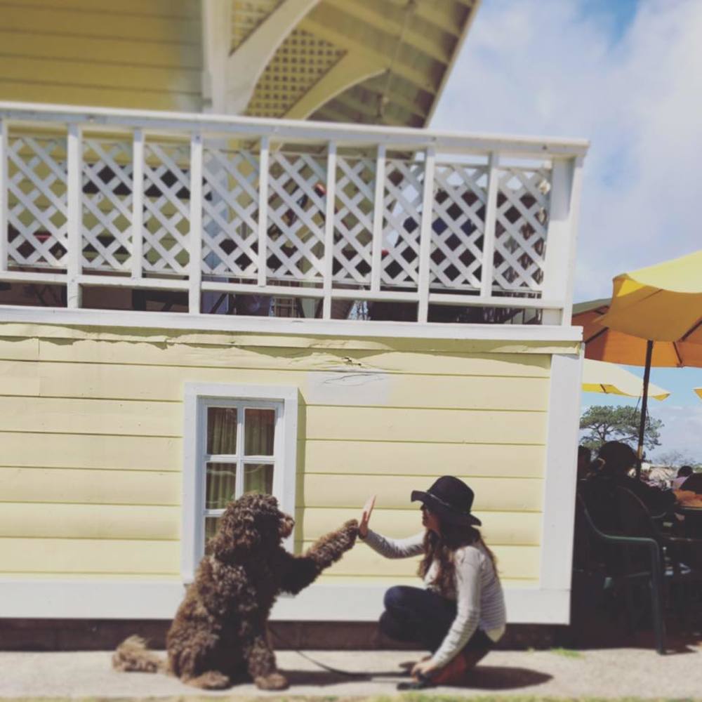 Meet your Posher, Katrina