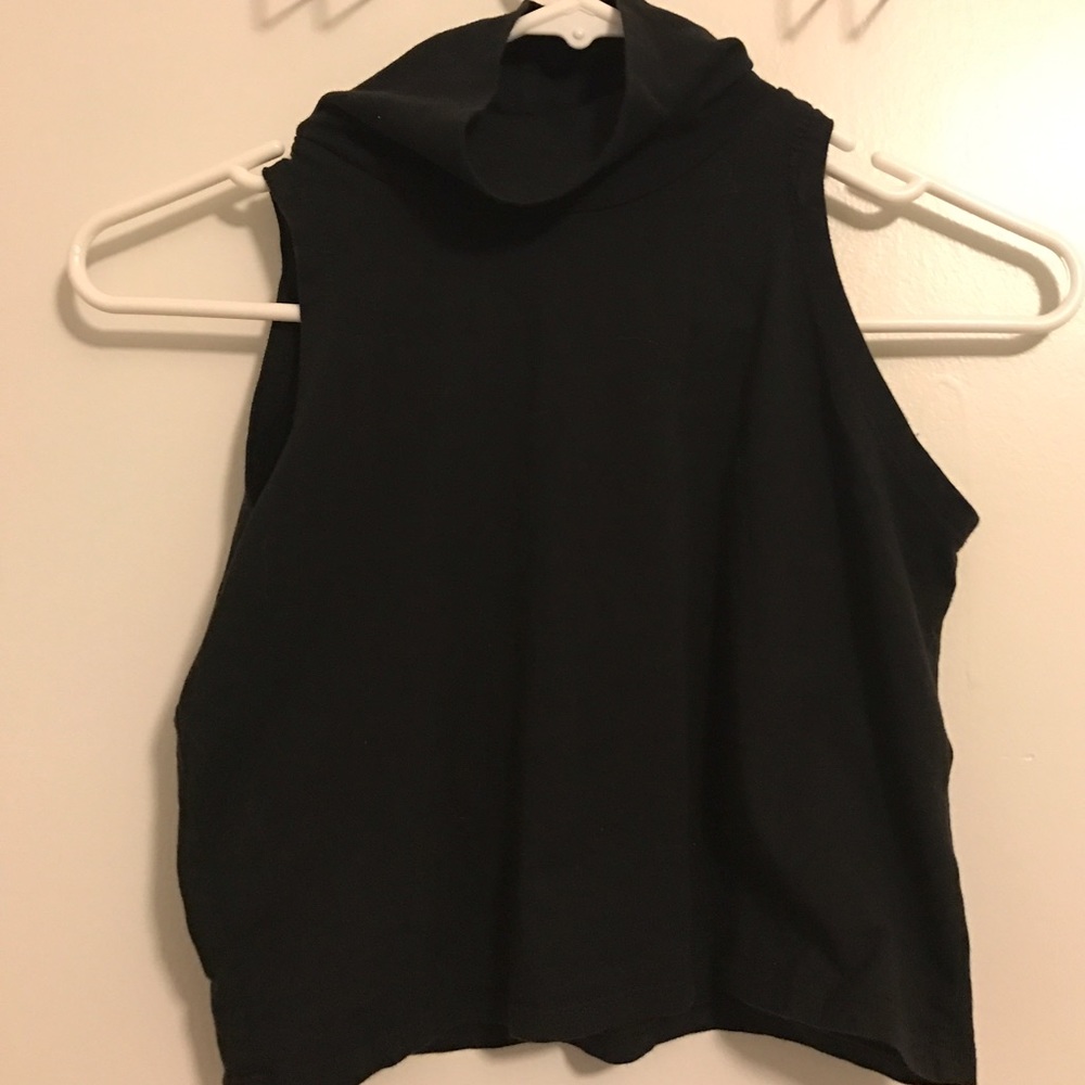 American Eagle Turtleneck Crop