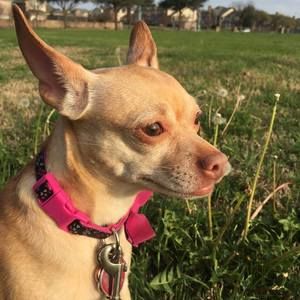 Meet your Posher, Cindy