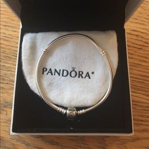 Pandora Charm Bracelet