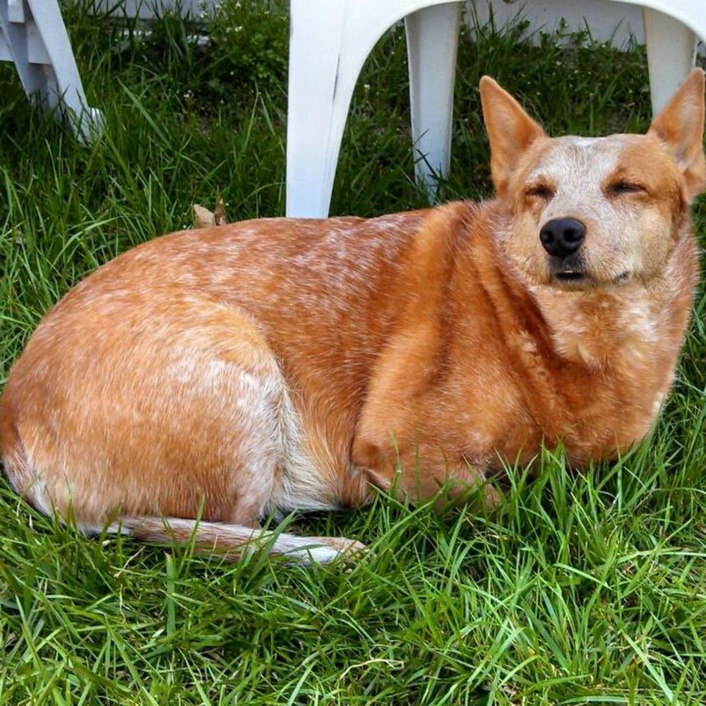 Meet your Posher, Tam