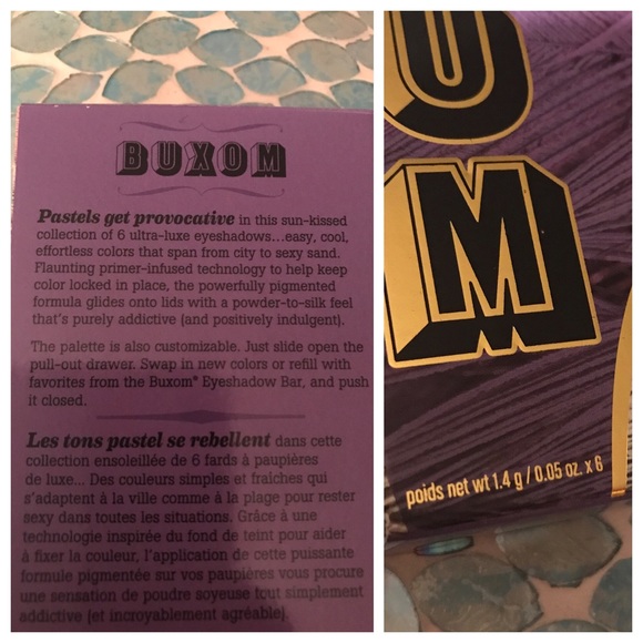 3XHP! 1 LEFT! Buxom Pastel Persuasion Palette - Picture 5 of 6