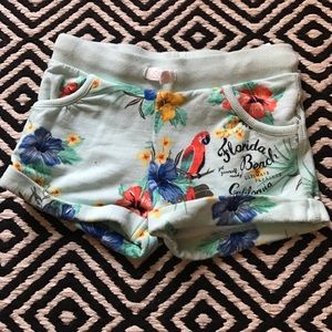 H&M Tropical Girl Shorts