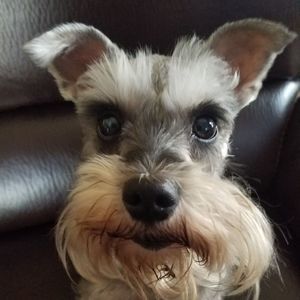 Meet your Posher, Anna n jay