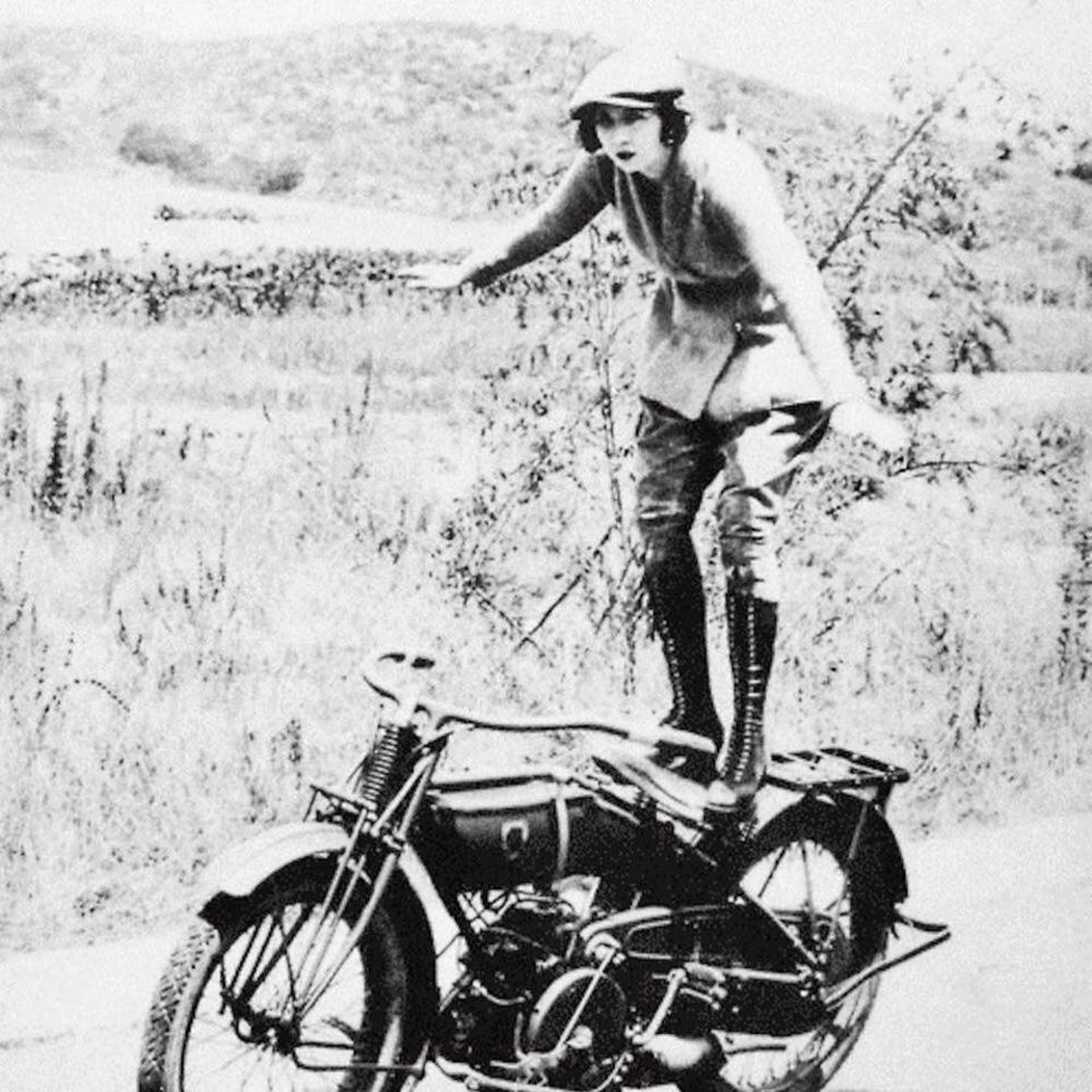 Meet your Posher, Shelby