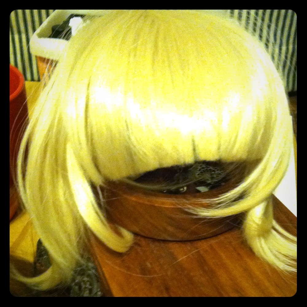 REMY hair extensions clip-in 100% human hair