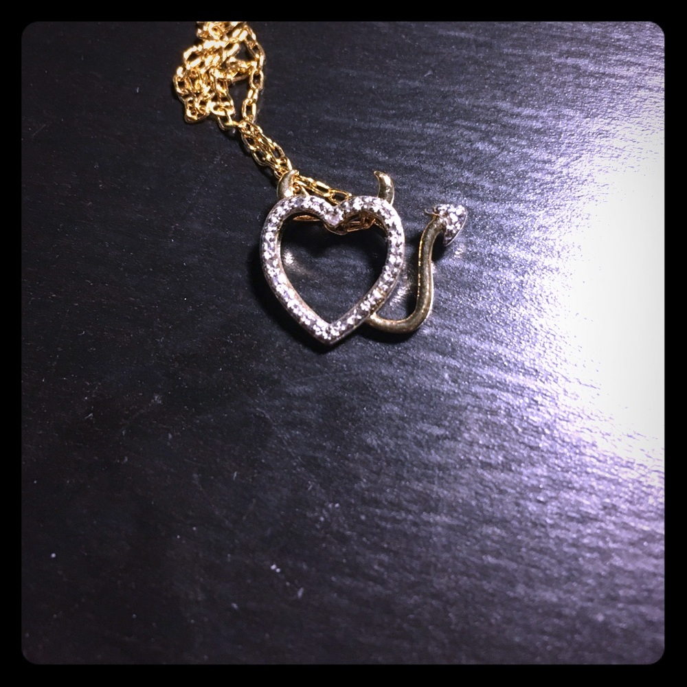 evil tail on a heart necklace